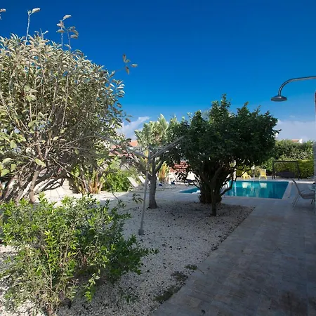At26 * Ayia Napa