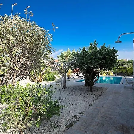 At26 * Ayia Napa